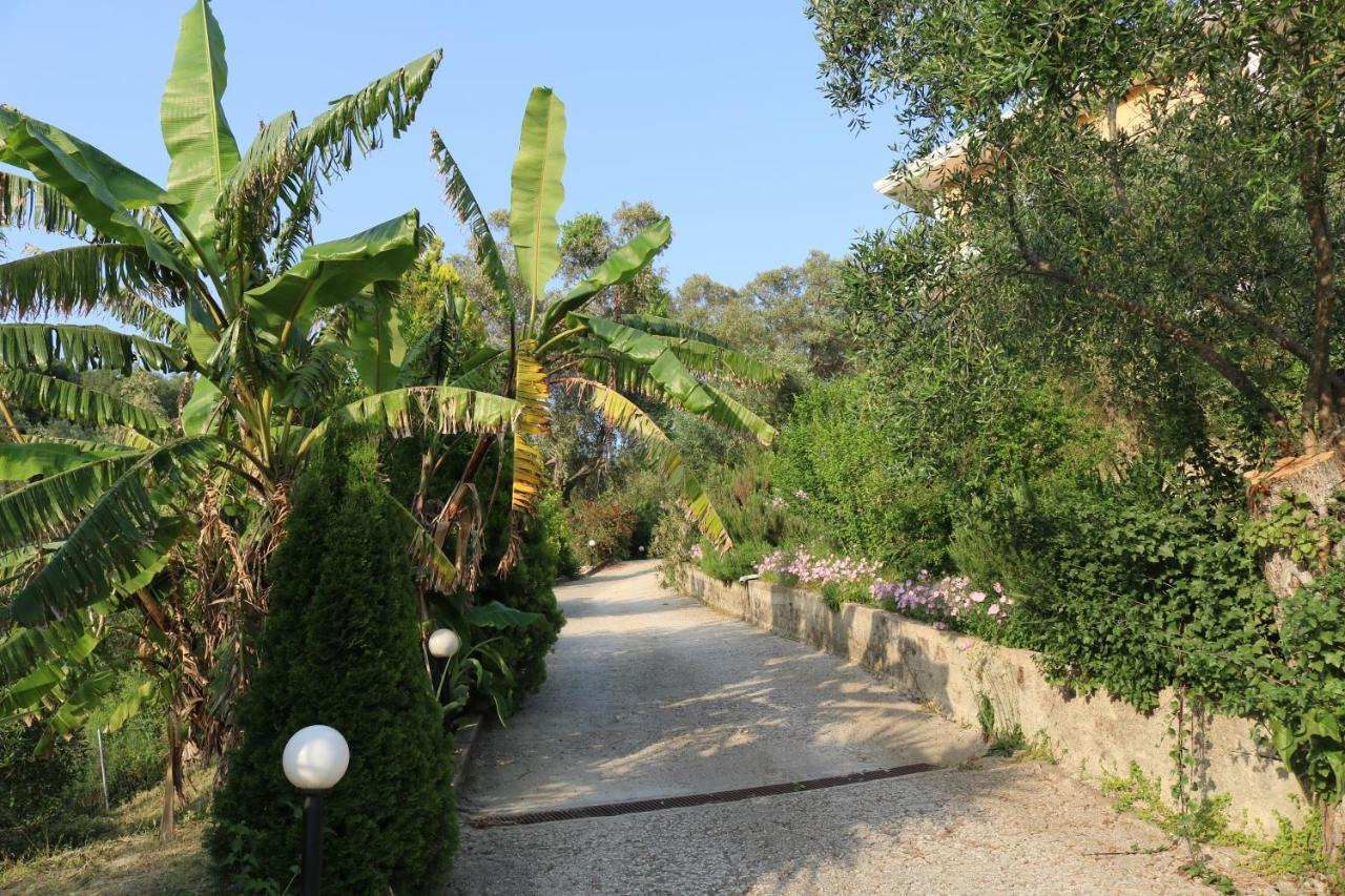 Dafni Studios No4 Parga Exterior photo